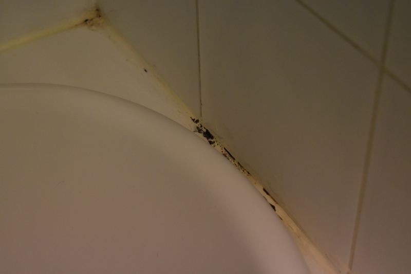 Mould growth on hotel room wall (photo 1)