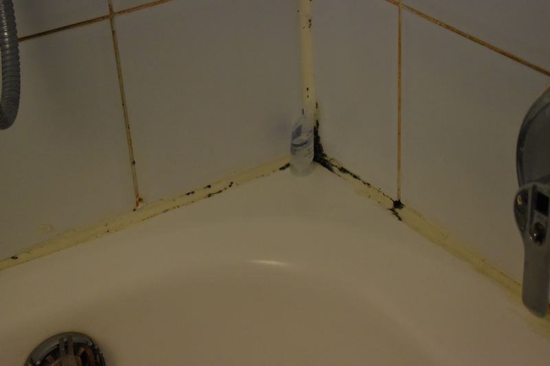 Mould growth on hotel room wall (photo 2)