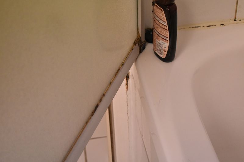 Mould growth on hotel room wall (photo 3)