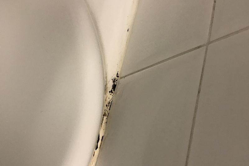 Mould growth on hotel room wall (photo 5)