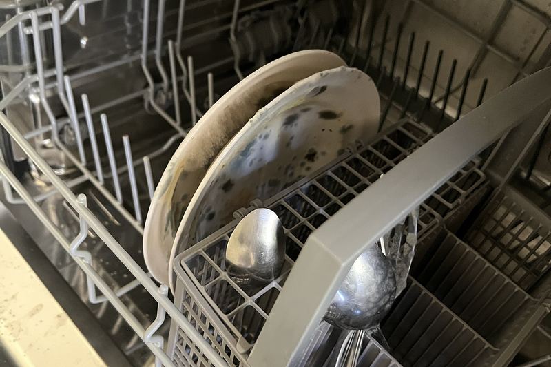 Mold inside a dishwasher from prolonged damp