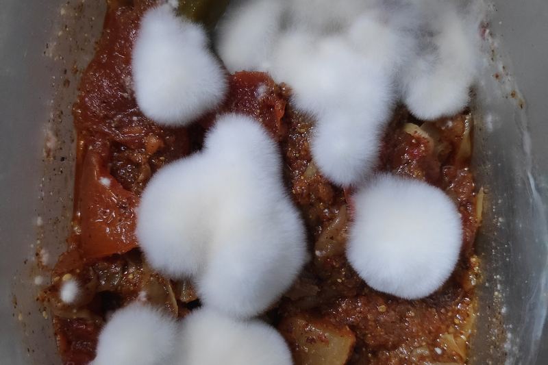 White mold growth on an indoor surface